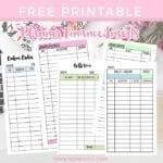 Personal & Business Financial Filofax Sections + Free Printables