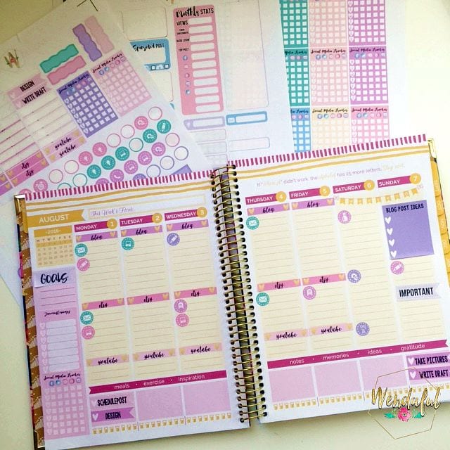 Using Only Erin Condren Stickers! Plan with Me: New 2016-17 EC Accessories  